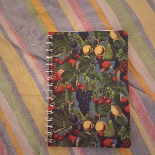 Small notebook unused