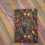 Small notebook unused