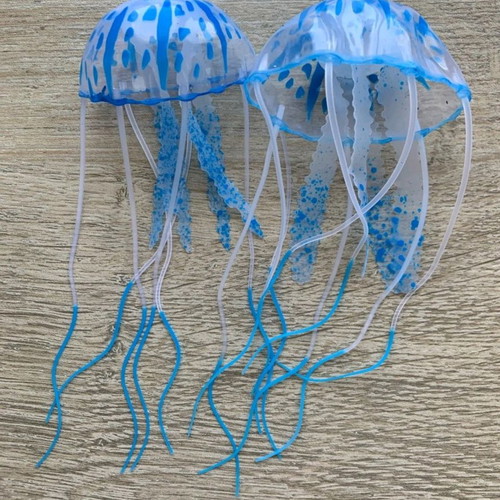 Medousa women's silicone dangling earrings new, transparent with tassels