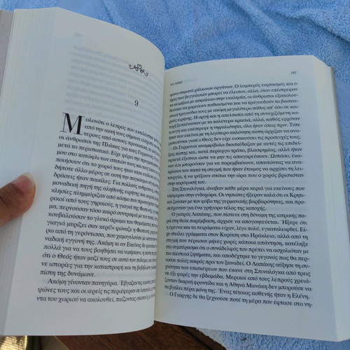 The Island novel like new