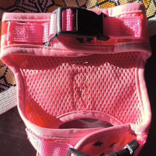 Small harness new