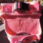 Small harness new