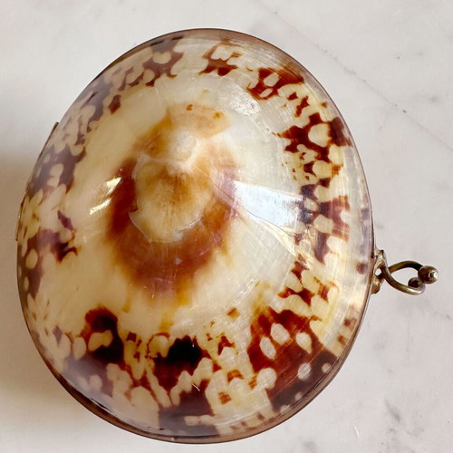 Vintage French Coin Purse Handmade Natural Shell Metal used