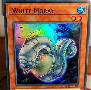 White Moray, BLLR, Yu-Gi-Oh