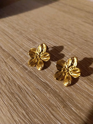 Stainless steel earrings new, gold-colored