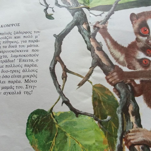 The World of Animals for Children used book