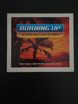 Burning Up 2 CD collection house like new