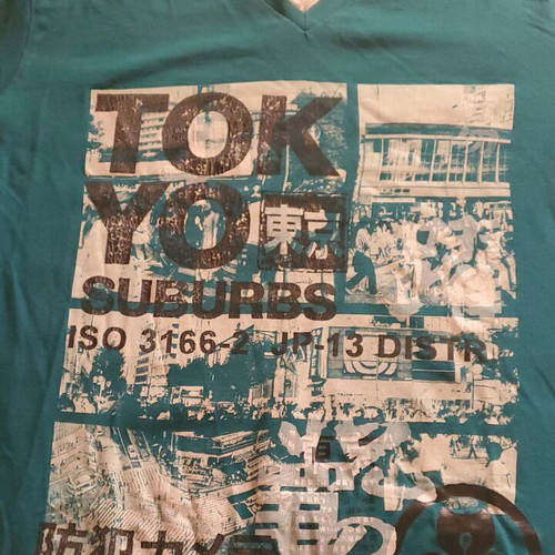 Pull & Bear Tokyo Suburbs graphic long-sleeve tee size L, teal, like new