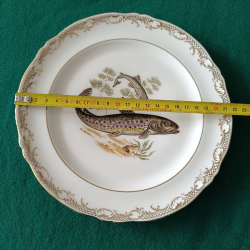Limoges vintage plates with freshwater fish decoration, like new, set of 5