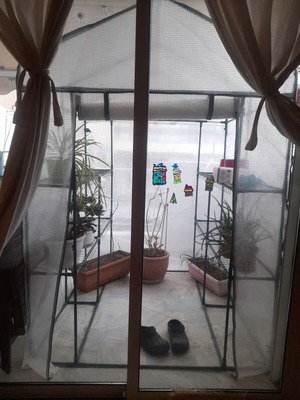 Θερμοκήπιο Συναρμολογούμενο σαν καινούργιο 138x200x139 με αερισμό