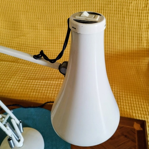 Anglepoise Herbert Terry desk lamp, vintage 1950s