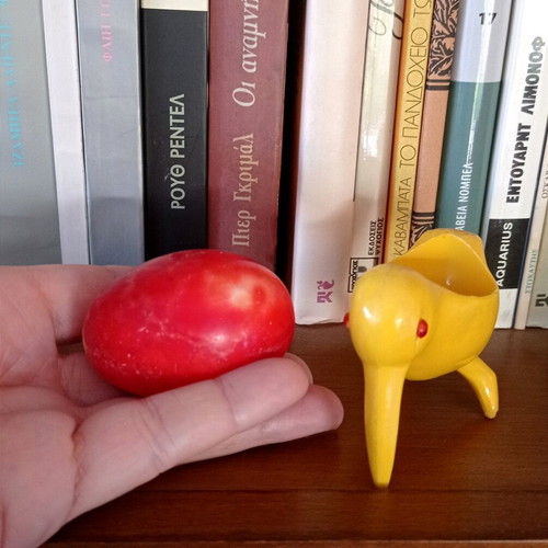 Vintage collectible kiwi with alabaster egg used