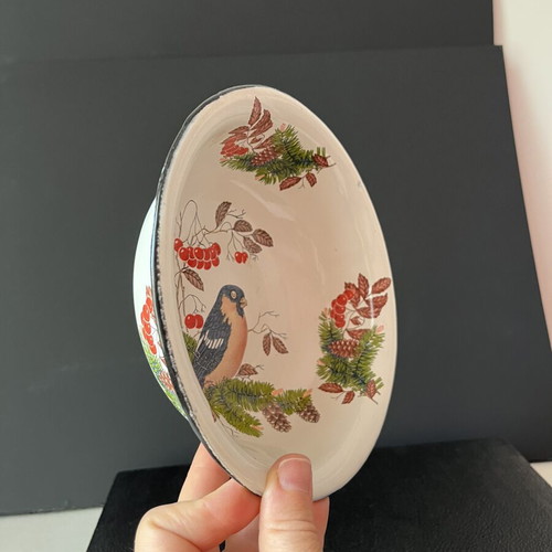 Vintage enamel bowl USSR with bullfinch design, 18cm, like new