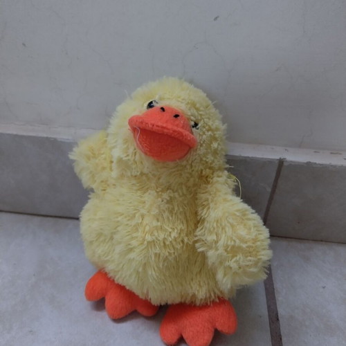 Plush duck like new