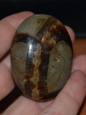 Septaria 85 grams used Palm Stone