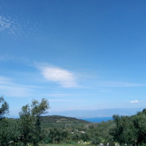 Building land with olive trees in Messinia, Petalidi Achladochori