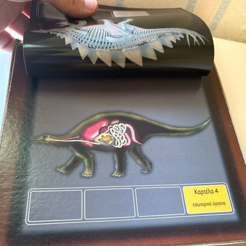 Dinosaur anatomy table used