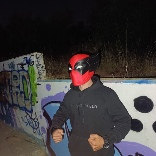Deadpool x Wolverine 3D Printed Mask custom fit, new