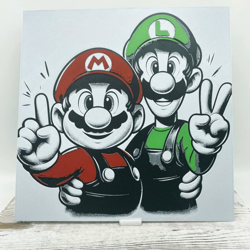Mario and Luigi poster like new