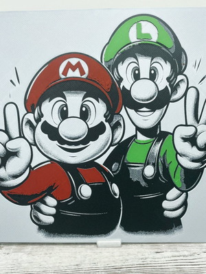 Mario and Luigi poster like new