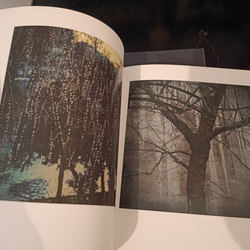 Photography exhibition catalogs like new, set of 2