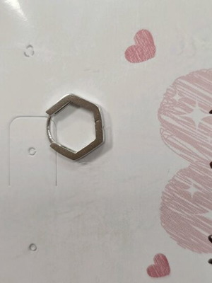 Silver Hoop Earrings new