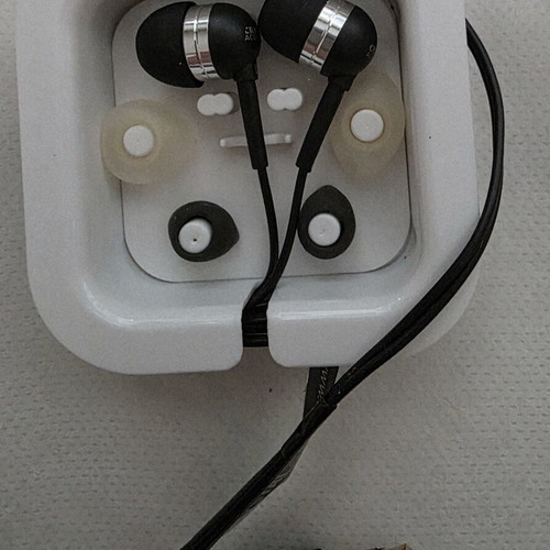 Crystal Acoustics wired in-ear headphones with extra ear tips and case
