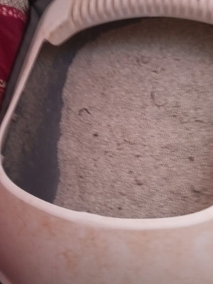 Cat litter box like new