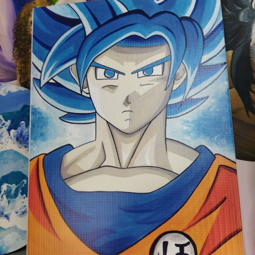 Goku canvas on stretcher like new, 24x34cm
