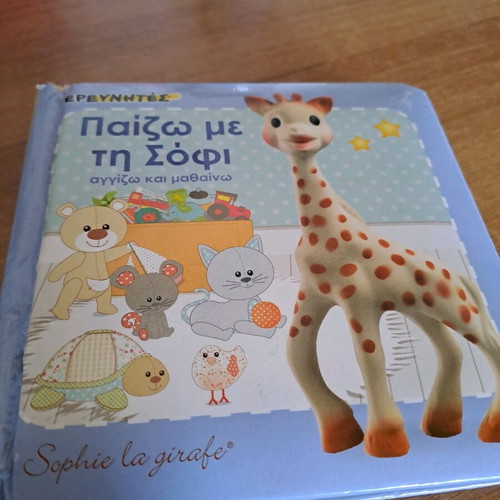 Play with Sophie used children's book