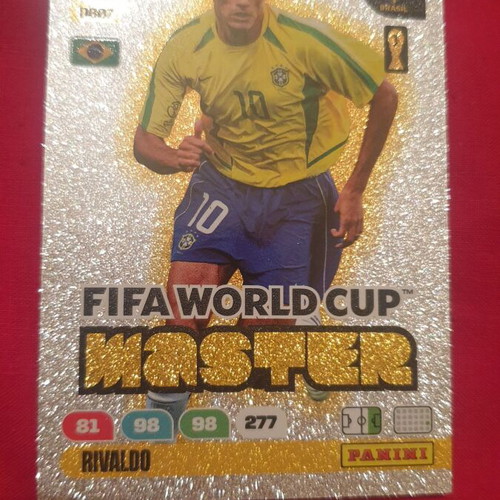Panini FIFA Football Legends Card Collection new, glossy