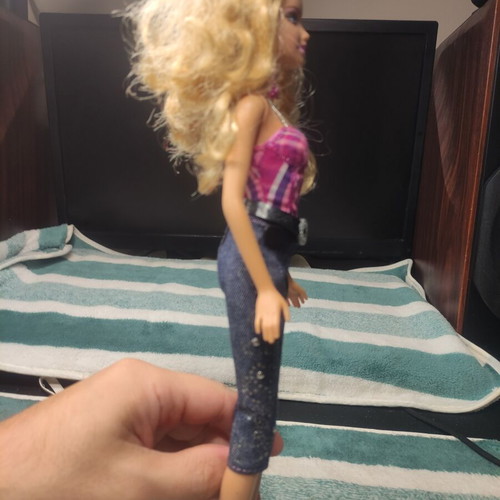 Barbie Country Rock 2009 doll used, missing accessories