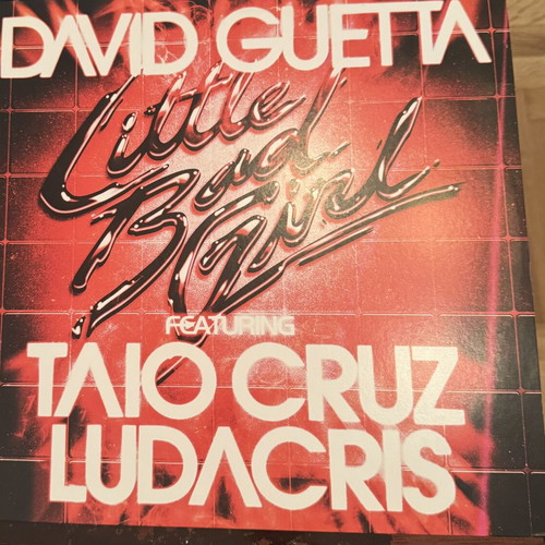Electronic music vinyl records like new, 4 discs David Guetta, Dave Armstrong, Richie Hawtin, Budai & Vic