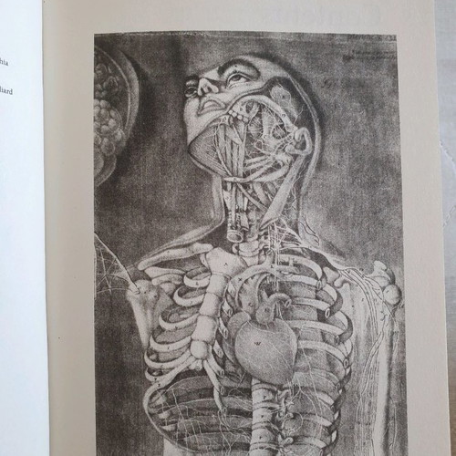 A Short History of Medicine book new in Greek