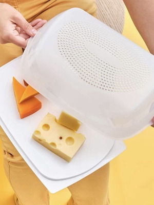 Tupperware Smart Large Cheese Keeper new