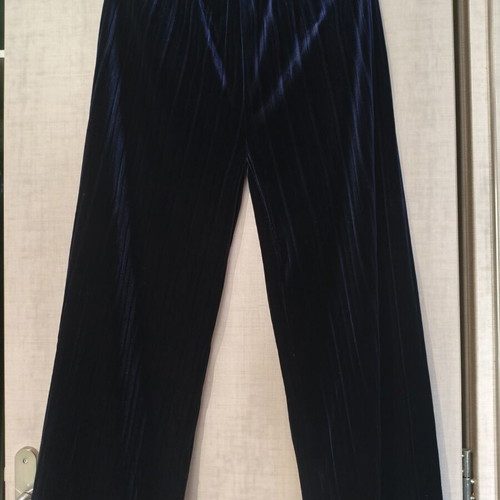 Blue Velvet Pleated Wide Leg Pants new, size medium