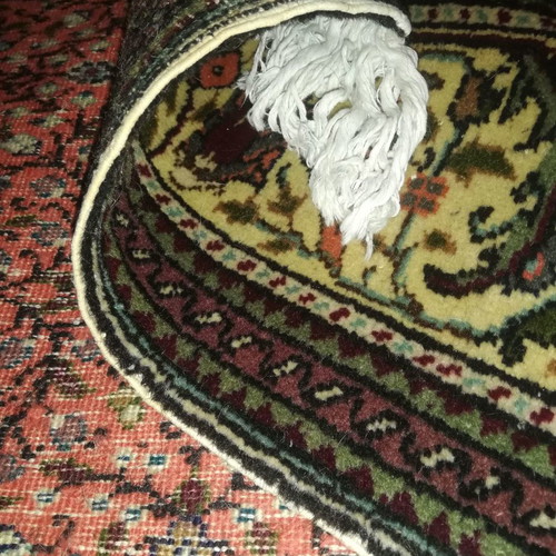 Handmade silk rug used with classic design and warm colors