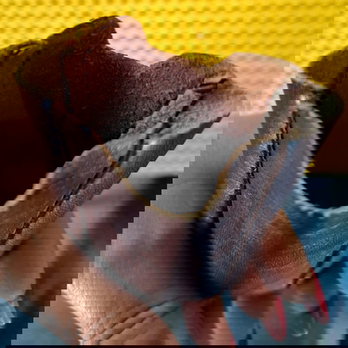 Vintage 1980 authentic collectible perfume cases, set of 2