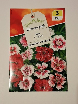 Семена Dianthus Chinensis нови, микс от цветове