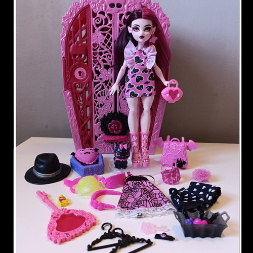 Monster High Draculaura doll with pet and accessories