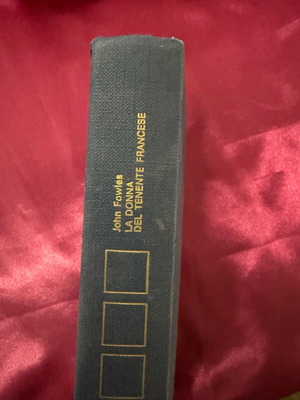 The Mistress of the French Lieutenant used historical novel
