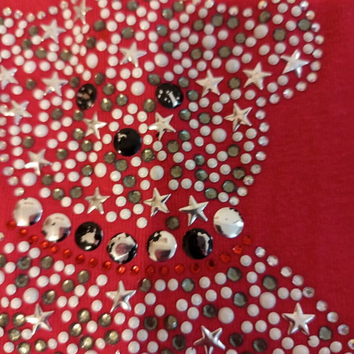 Denim shirt and pink strass bear tank top used