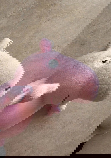 Peppa