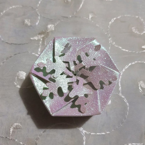 Snowflake earrings used