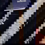  Swarovski κοσμήματα