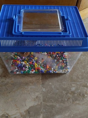 Plastic aquarium for goldfish used with stones and small tree