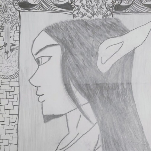 Elv Sketch with Decorative Background and Linear Design like new