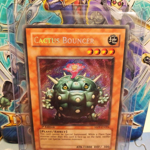Cactus Bouncer ABPF-EN084 1st Edition used