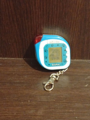 Digital Pet игра употребявана с драскотина на екрана