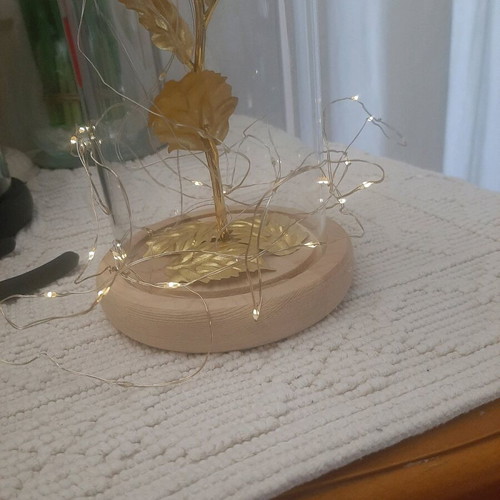 Decorative golden rose with vase and light, like new